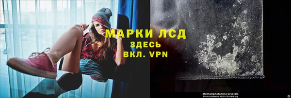 прущий лед Богданович