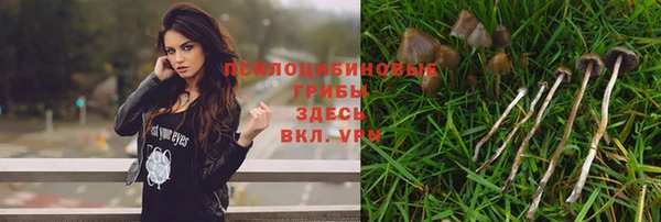 spice Бугульма