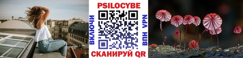 продажа наркотиков  Кисловодск  Галлюциногенные грибы MAGIC MUSHROOMS 