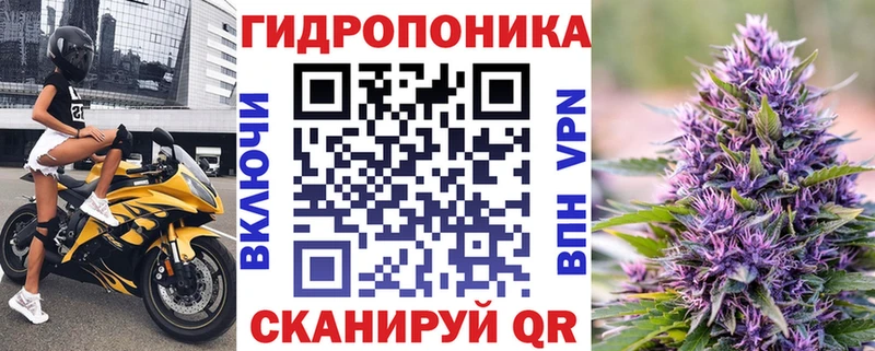 Бошки Шишки марихуана  Кисловодск 